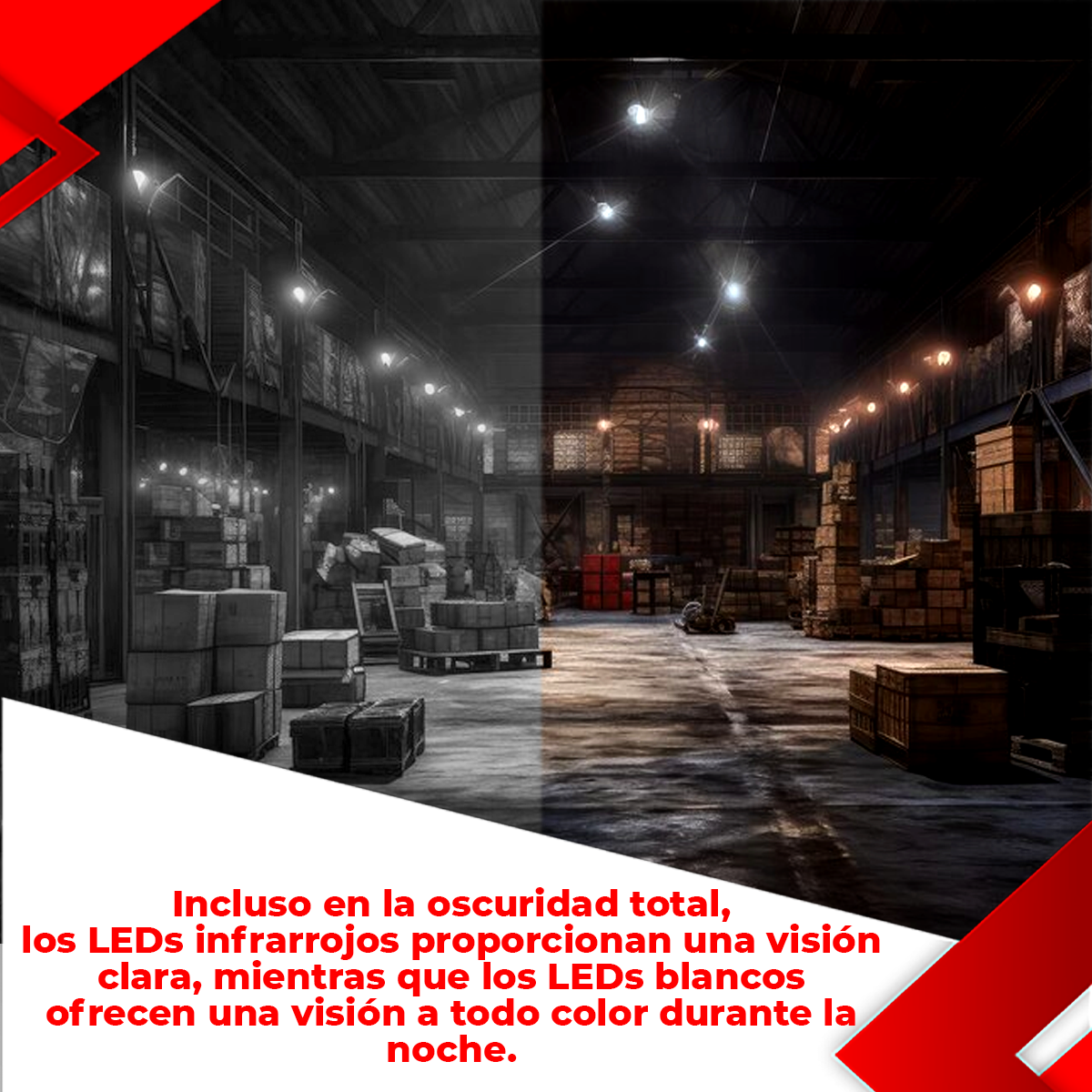 Imagen 5