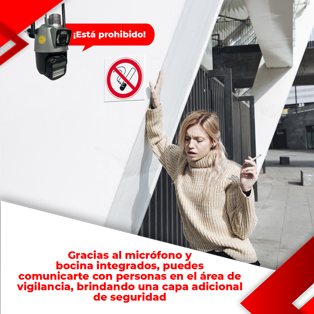 Imagen 6