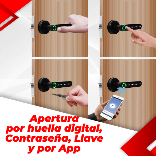 Imagen 2